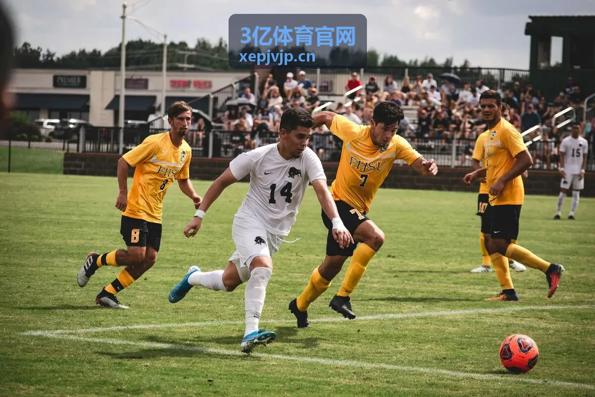 3亿体育官网篮球数据盘点