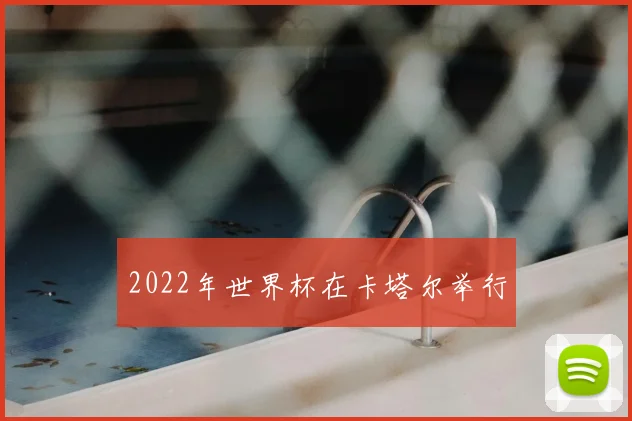 2022年世界杯在卡塔尔举行