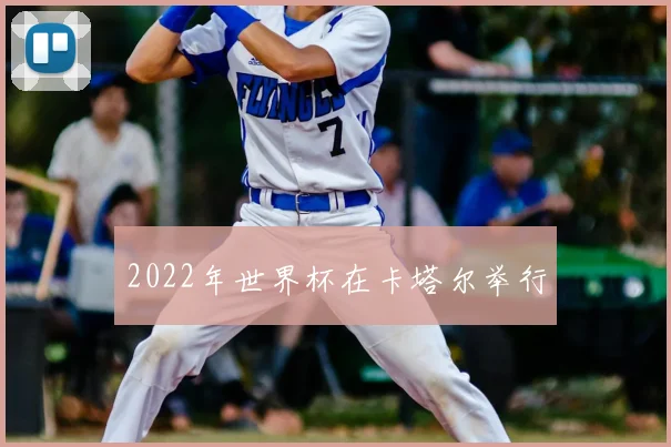 2022年世界杯在卡塔尔举行