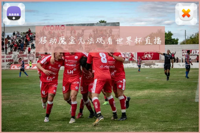 移动魔盒无法观看世界杯直播