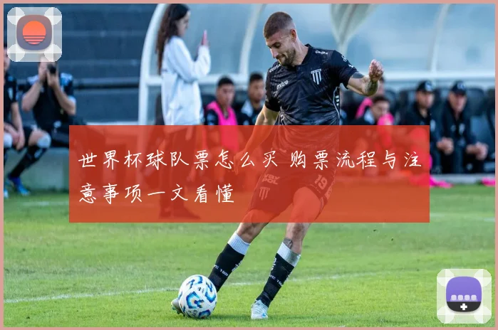 世界杯球队票怎么买 购票流程与注意事项一文看懂