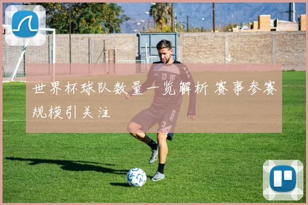 世界杯球队数量一览解析 赛事参赛规模引关注