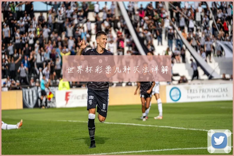 世界杯彩票几种买法详解