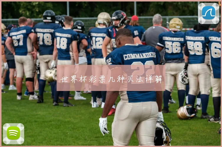 世界杯彩票几种买法详解